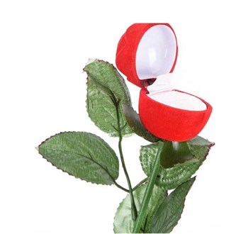 Romanttinen ruusu ja laatikko vihkisormukseen tai kihlasormukseen