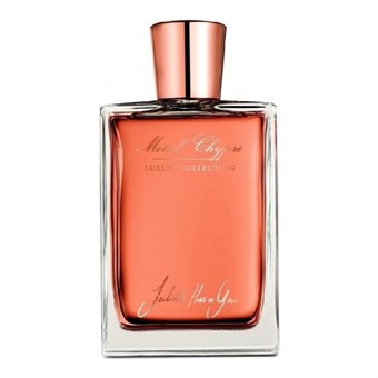 Juliette Has A Gun Metal Chypre - Eau de Parfum - Matkakoko - 10 ml