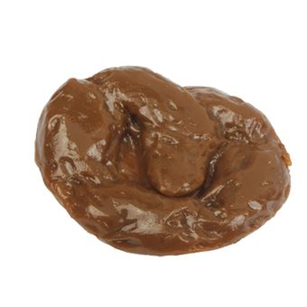 Väärennetty ihmisen paska