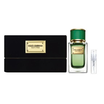 Dolce & Gabbana Velvet Cypress - Eau de Parfum - Tuoksunäyte - 2 ml