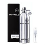 Montale Paris Mango Manga - Eau De Parfum - Tuoksunäyte - 2 ml