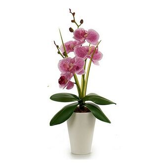 Koristekasvi Orkidea Muovinen 8 x 35 x 14 cm