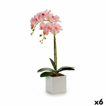 Koristekasvi Orkidea 18 x 47 x 14 cm Muovinen (6 osaa)