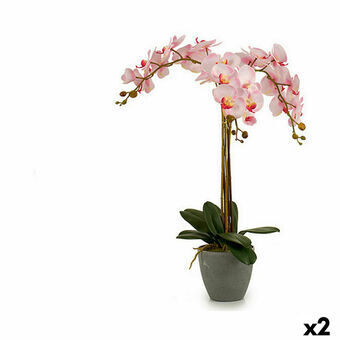 Koristekasvi Orkidea Muovinen 29 x 78 x 35 cm (2 osaa)