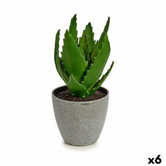 Koristekasvi Aloe vera 14 x 21 x 14 cm Harmaa Vihreä Muovinen (6 osaa)