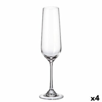 Setti laseja Bohemia Crystal Sira champagne 200 ml 6 osaa 4 osaa
