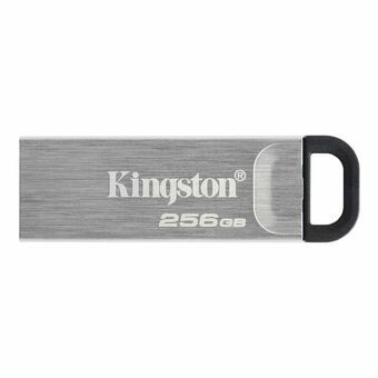 USB-tikku Kingston DTKN/256GB USB 3.2 Musta Hopea 256 GB