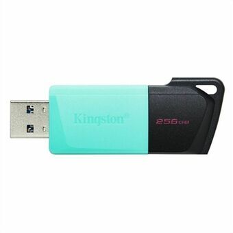 USB-tikku Kingston DTXM/256GB 256 GB Sininen 256 GB