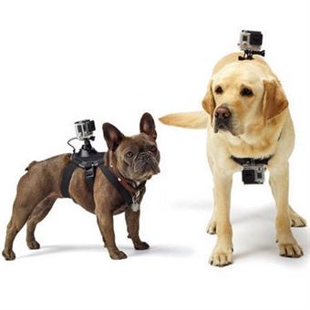 Puluz® GoPro Hero -rintavyö koirille