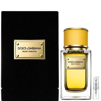 Dolce & Gabbana Velvet Ginestra - Eau de Parfum  - Tuoksunäyte - 2 ml