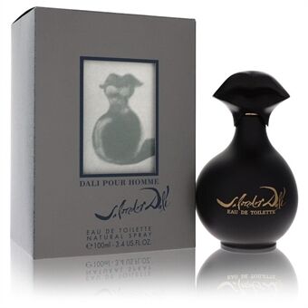 Salvador Dali by Salvador Dali - Eau De Toilette Spray 100 ml - miehille