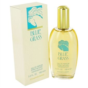 Blue Grass by Elizabeth Arden - Eau De Parfum Spray 100 ml - naisille