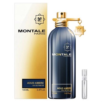 Montale Paris Aoud Ambre - Eau de Parfum - Tuoksunäyte - 5 ml