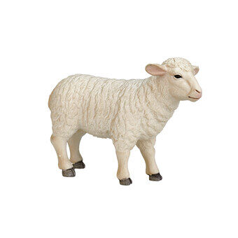 Mojo maatalousmaan lammas uuhi - 387096