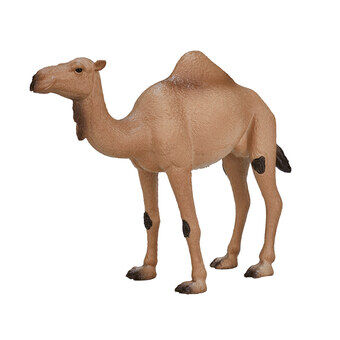 Mojo Wildlife Arabian Camel - 387113

Mojo Wildlife Arabian Kameli - 387113