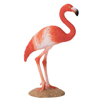 Mojo villieläin amerikkalainen flamingo - 387134