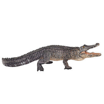 Mojo Alligator liikkuvalla leualla - 387168