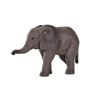 Mojo villieläinten afrikkalainen norsuvasikka - 387190