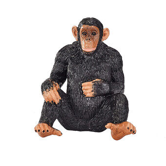 Mojo villieläinsimpanssi - 387265
