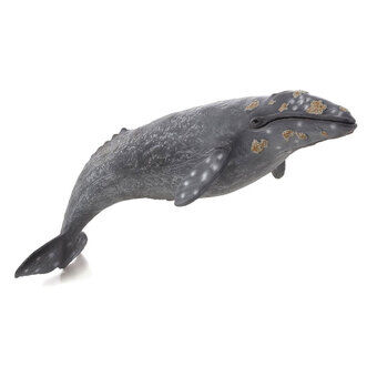 Mojo sealife - harmaavalas 387280