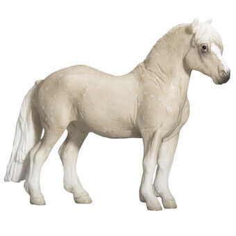 Mojo hevosmaailman Walesin poni - 387282