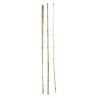 Pituudeltaan 2 metriä oleva rinkula bambu.